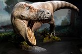 Dinosauria-Museum-Prague_1